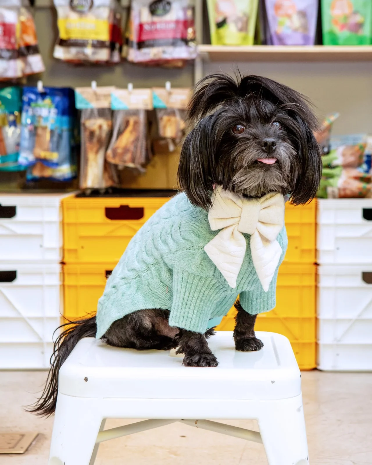 Fuzzy Knit Dog Turtleneck Sweater in Soft Mint (FINAL SALE) - Image 2