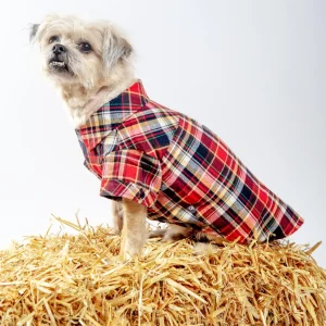 Flannel Plaid Button Down Shirt in Red (FINAL SALE)