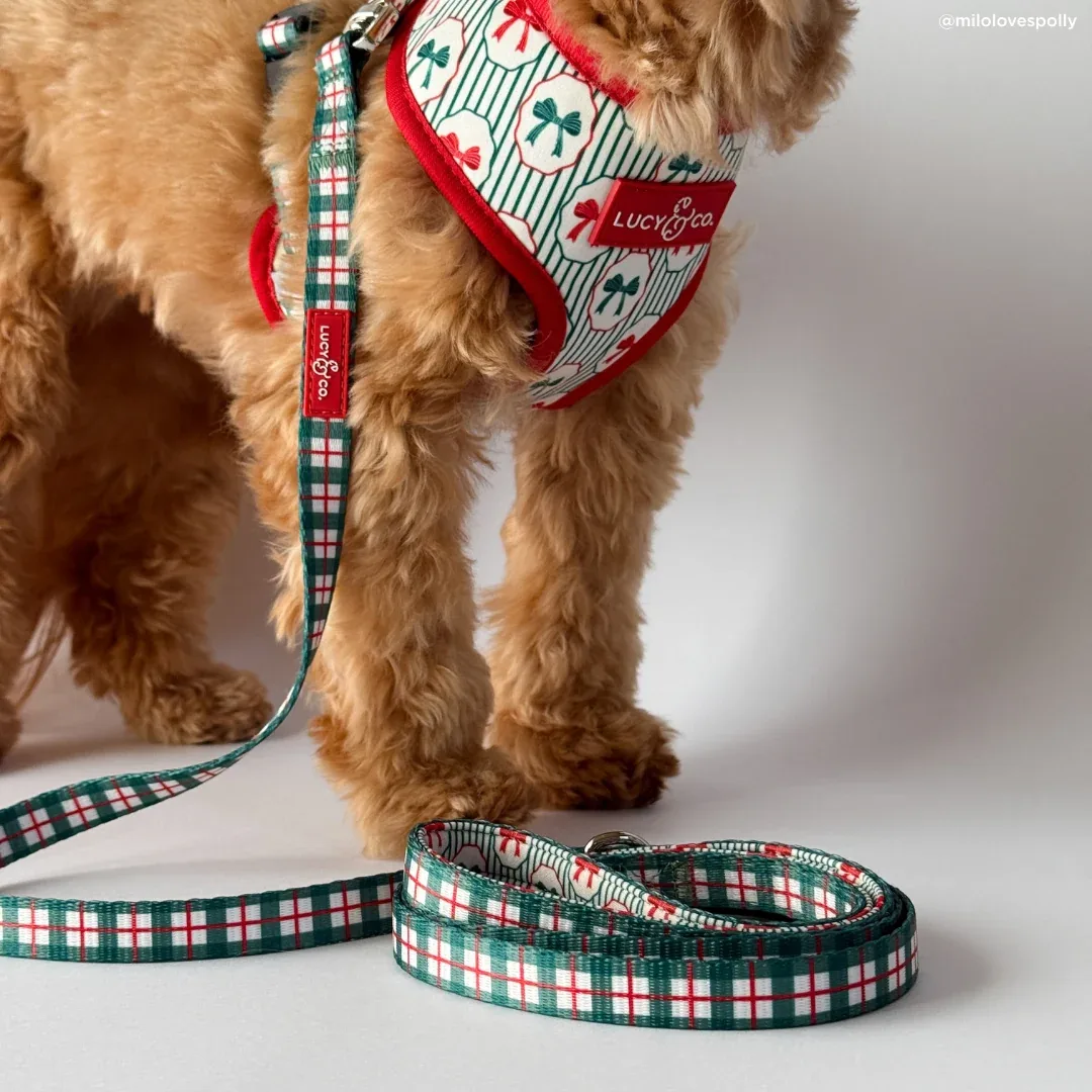 Wrap it Up Print Leash - Image 2