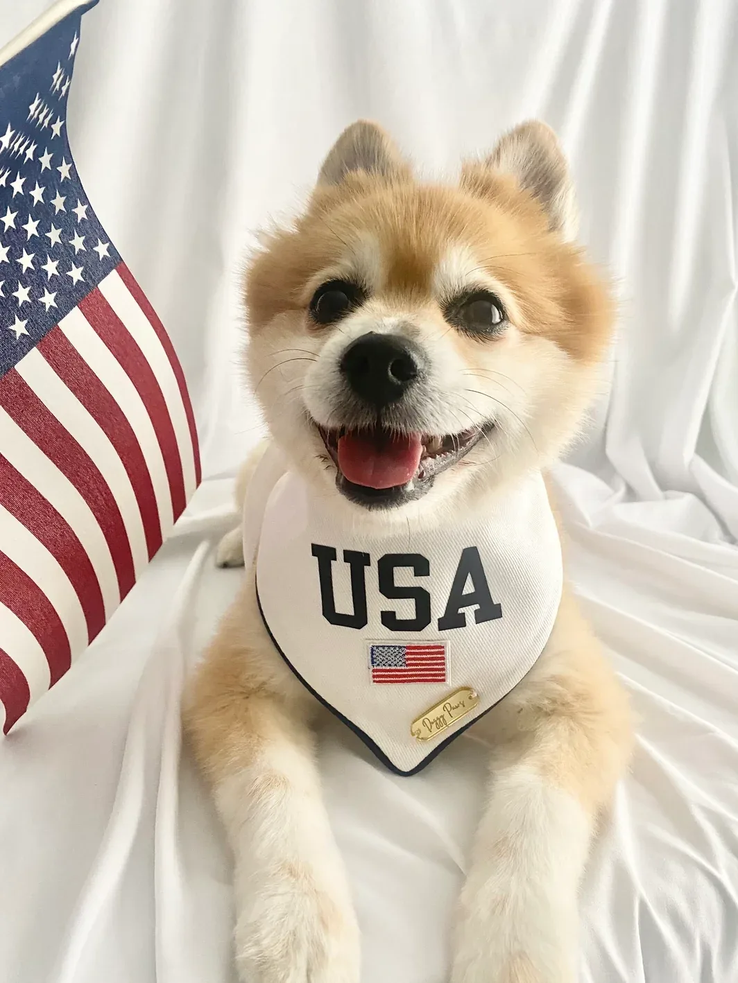 USA White Denim Dog Bandana (Made in the USA) - Image 2