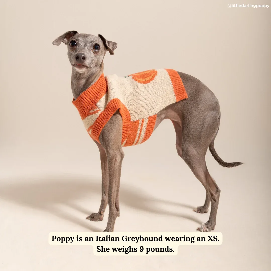 Oh My Gourd Sweater - Image 2
