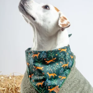 Woodland Fox Dog Bandana (Made in the USA)