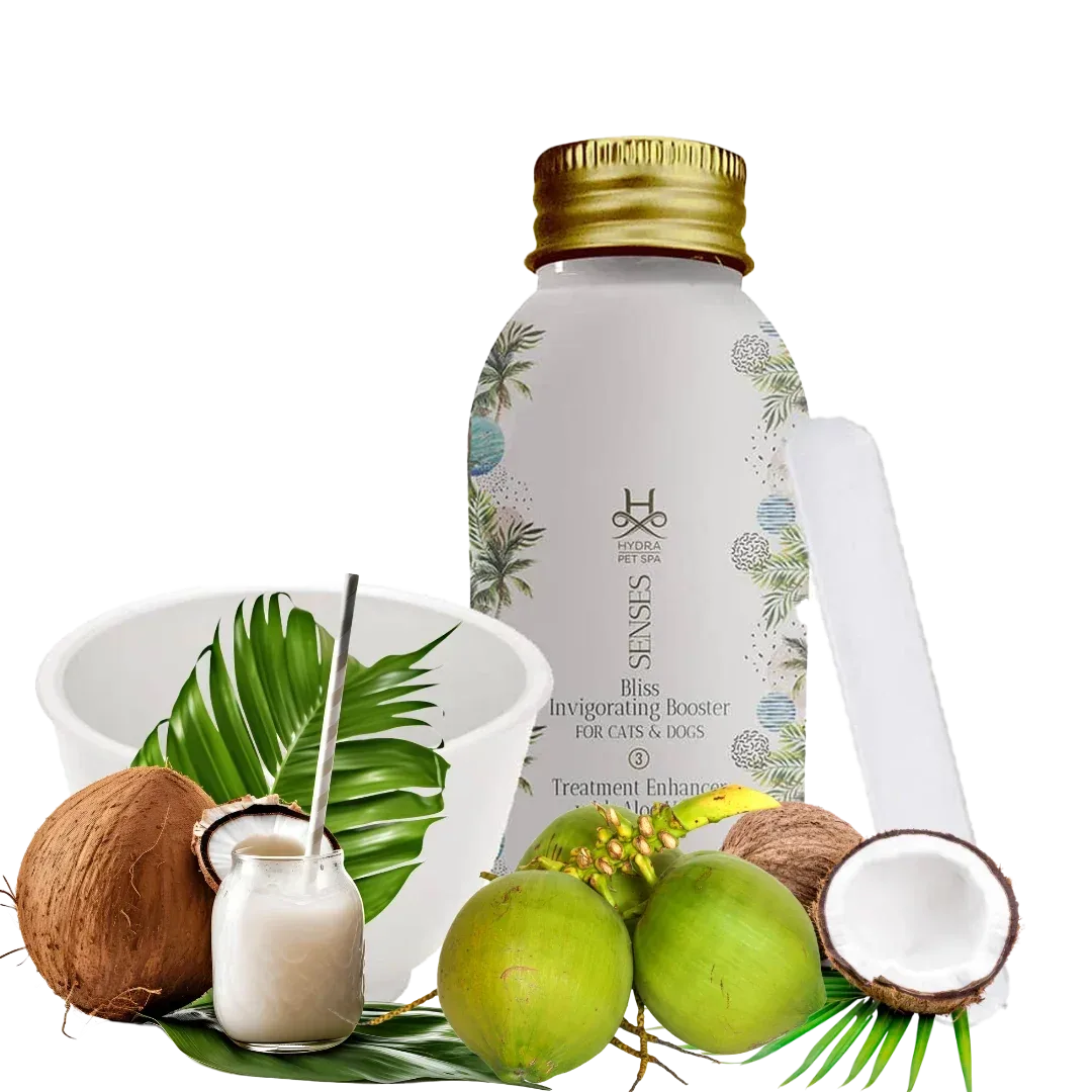 Senses Bliss Fortifying Conditioner Booster and Mixing Bowl by Hydra - Image 2