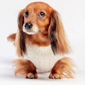 The Uptown Cable Knit Sweater in Natural Merino Wool (Made in NYC)