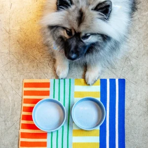 Patchwork Stripe Placemat