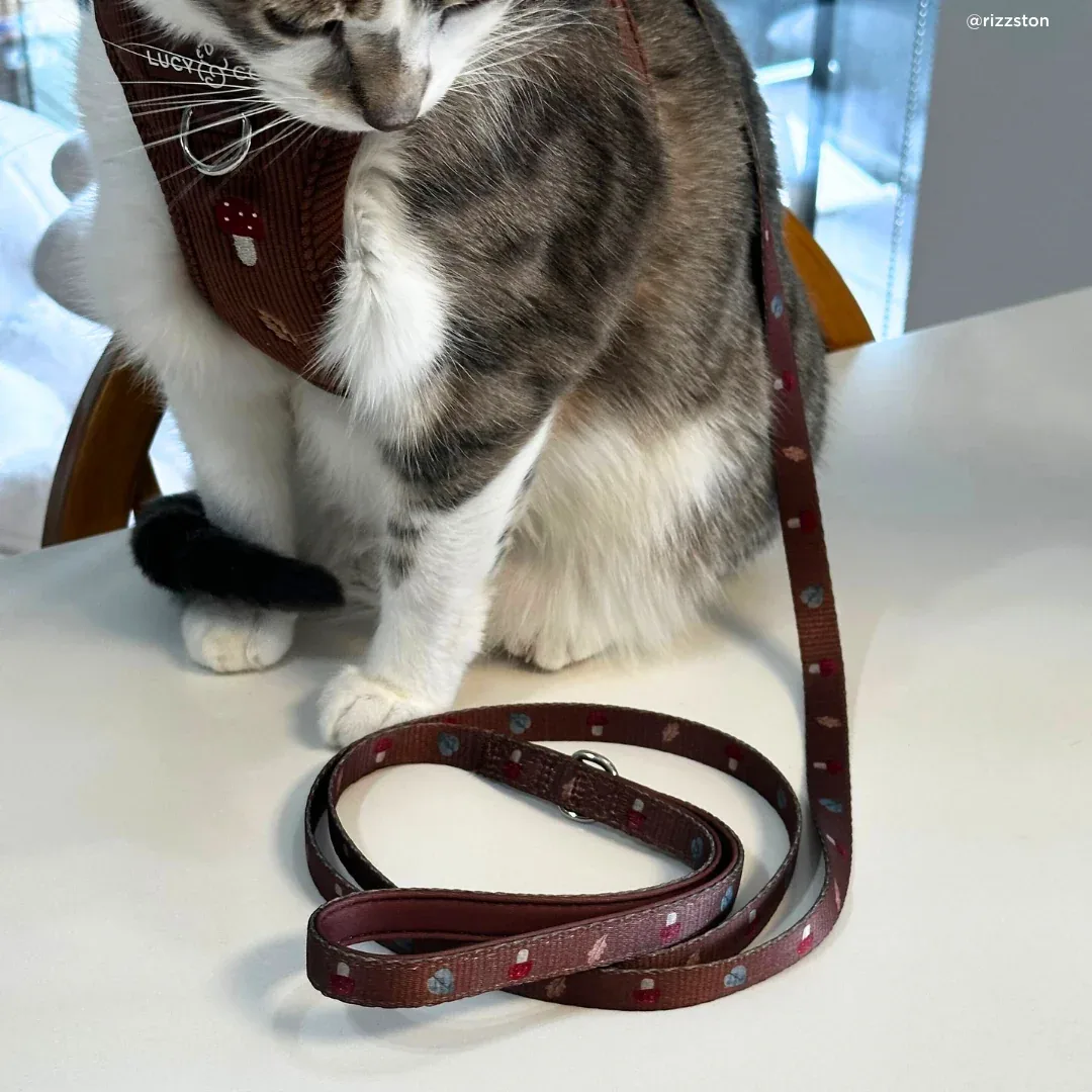 Woodland Wonder Cat Leash - Image 2
