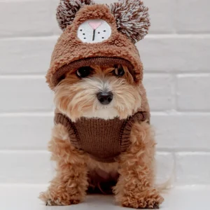 Fuzzy Wuzzy Teddy Bear Dog Hoodie