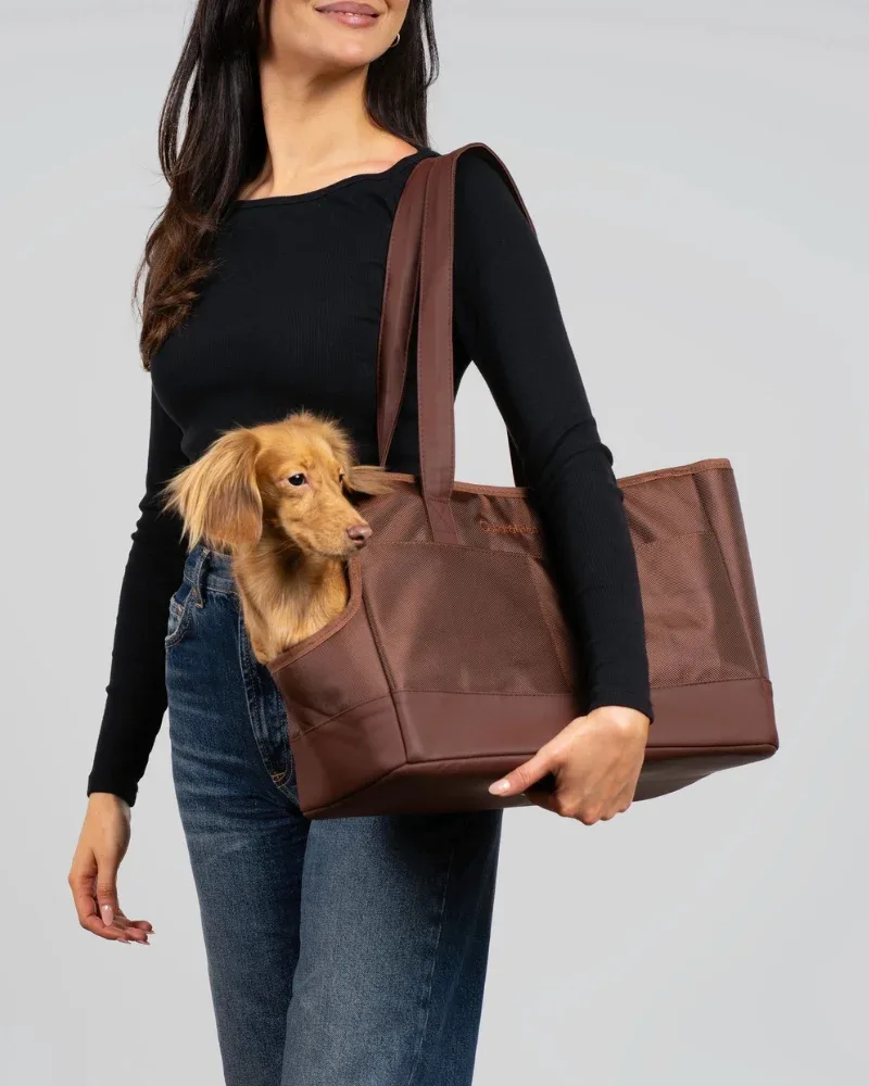 Open or Enclosed Pet Tote Bag
