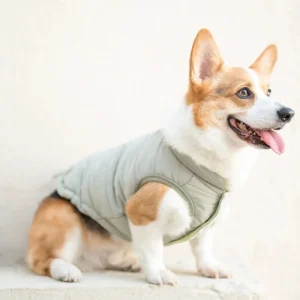 Explorer Dog Puffer Vest (FINAL SALE)