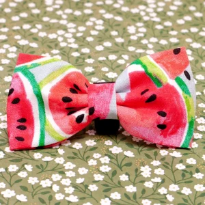 Watermelon Dog Bow Tie(Made in the USA) (FINAL SALE)