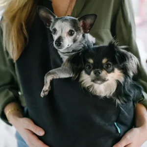 The SNUGGIT Plus+ Crossbody Dog Sling in Clairence Black