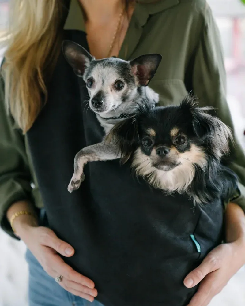 The SNUGGIT Plus+ Crossbody Dog Sling in Clairence Black
