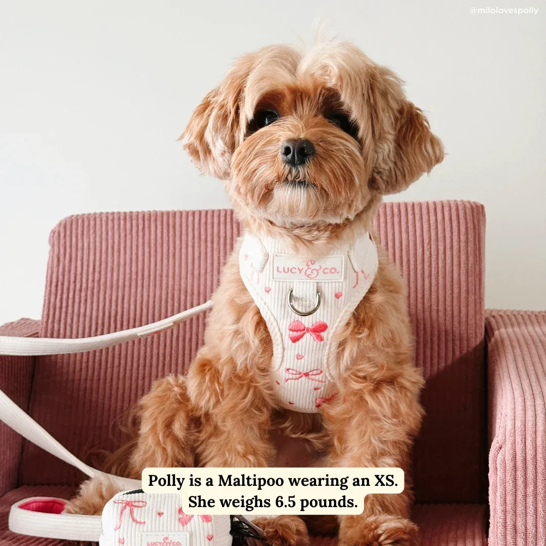 Ever So Sweet Corduroy No-Pull Harness - Image 2