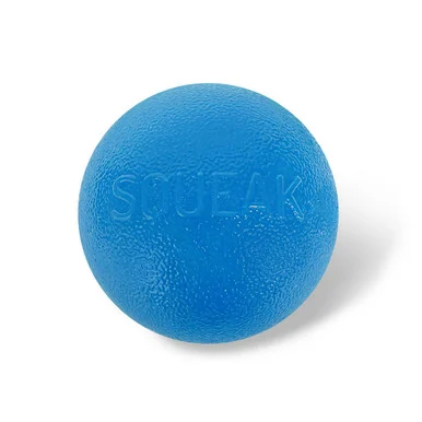 Orbee-Tuff Squeak Ball Dog Toy