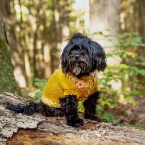 Yellow Floral Eileen Hand Embroidered Knitted Wool Dog Sweater