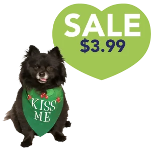 Kiss Me Holiday Dog Bandana by Dog Fashion Living