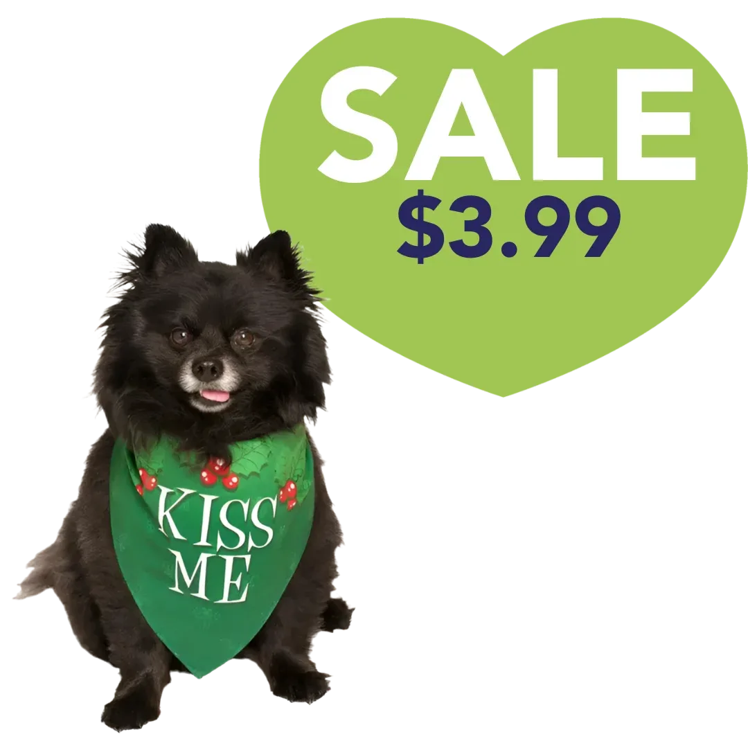 Kiss Me Holiday Dog Bandana by Dog Fashion Living