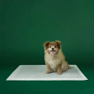 Max Absorbency Puppy Pee Pads (7-Pack)