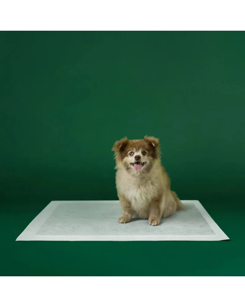 Max Absorbency Puppy Pee Pads (7-Pack)