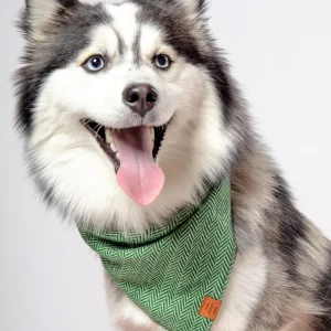Green Herringbone Flannel Dog Bandana (Made in the USA)