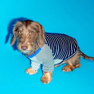 Black & White Crazy Striped Dog T-Shirt (Made in the USA)