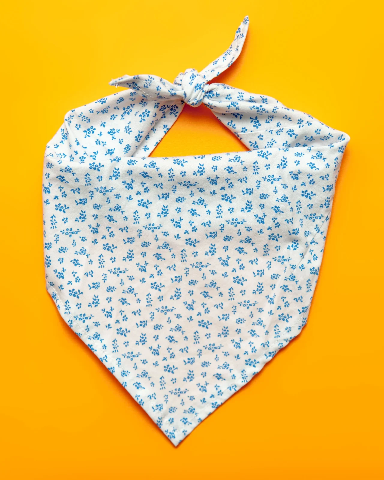 Matching Face Mask & Dog Bandana Set in Pink Floral - Image 2