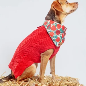 Classic Cable Dog Turtleneck Sweater in Red (FINAL SALE)