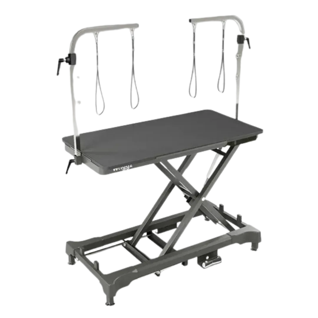 Pre-Order 50" Dog Grooming 908 Electric Table without Drawer Black + Free Solo-Stream Dryer by Waggz - Image 2