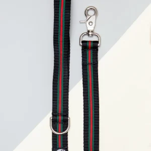 Luxe Green & Red Stripe Dog Leash (Made in NYC)