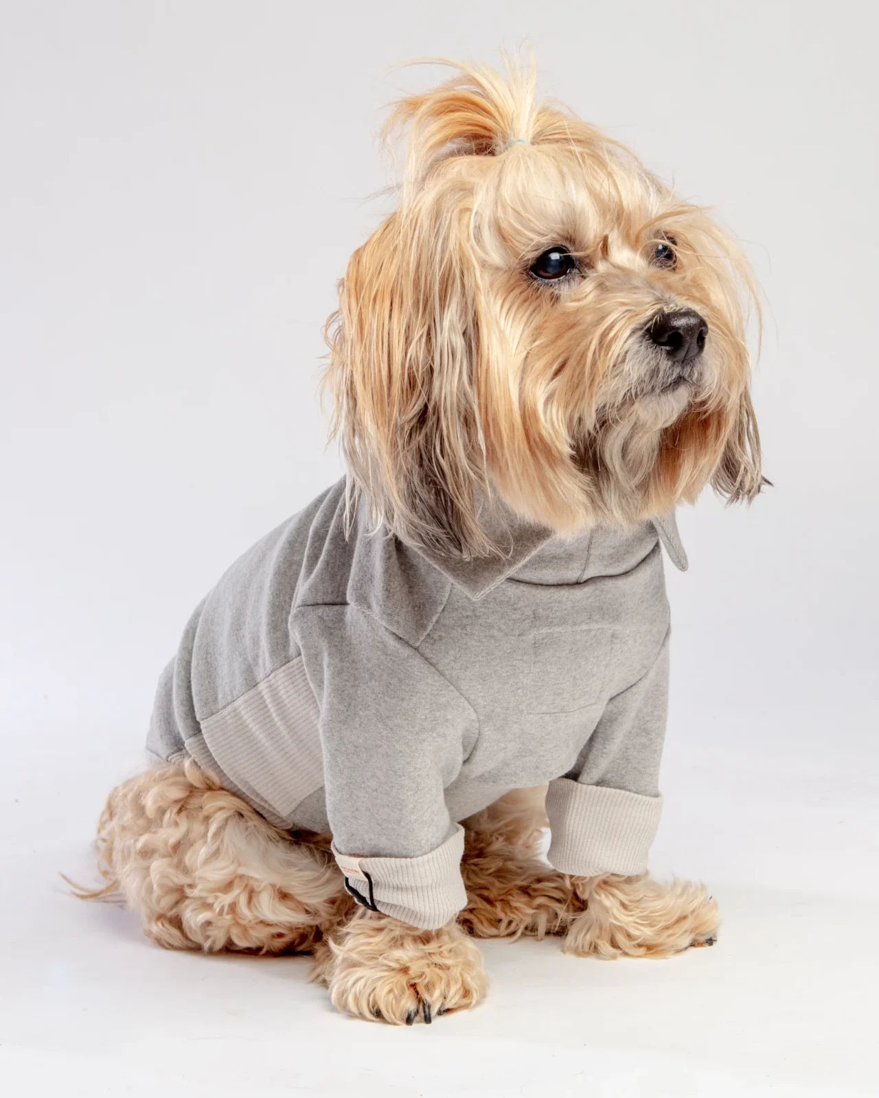 High V-Neck Pullover in Light Grey((FINAL SALE))