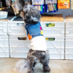 Velvet Denim Patchwork Dog Harness (Made in the USA) (Dog & Co. Exclusive) (FINAL SALE)