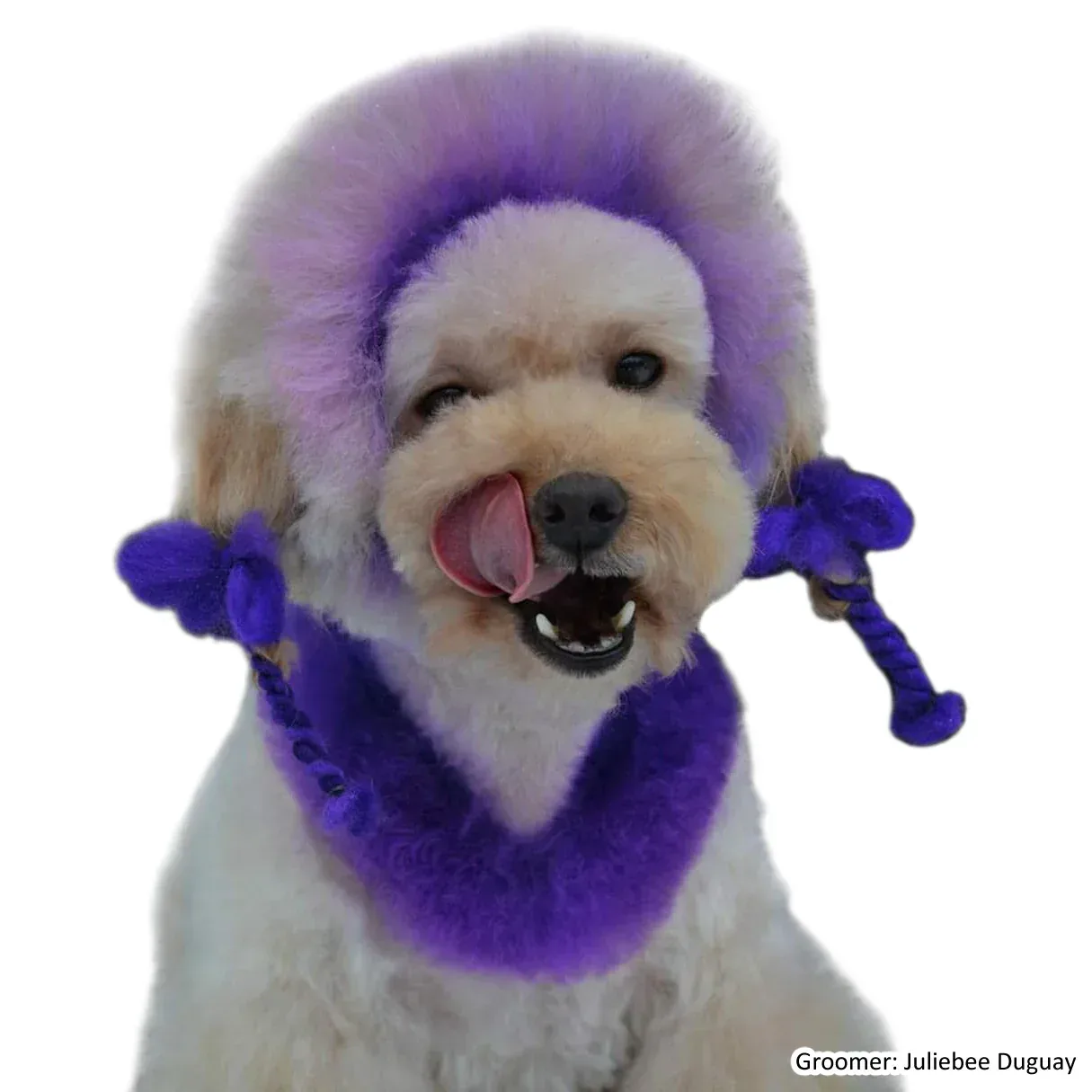 Permanent Dog Hair Dye Indigo Purple 8oz by Opawz - Image 2
