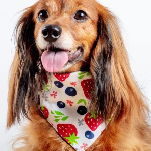 Berries & Cream Bandana(Made in the USA) (FINAL SALE)