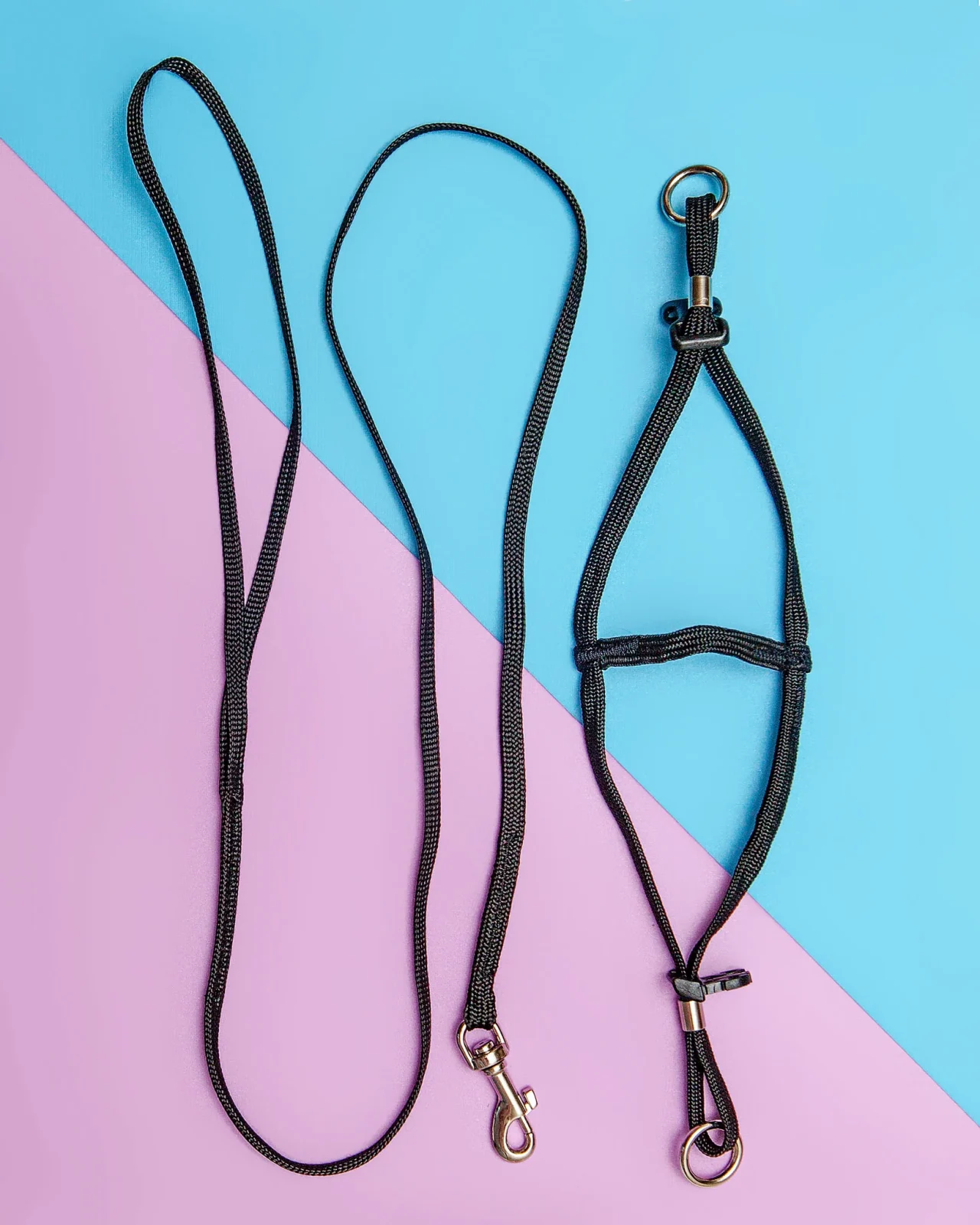 Tiny Dog Step-In Harness + Lead in Black