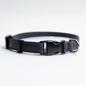 A Walk in the Park Dog Collar in Black (Made in the USA)