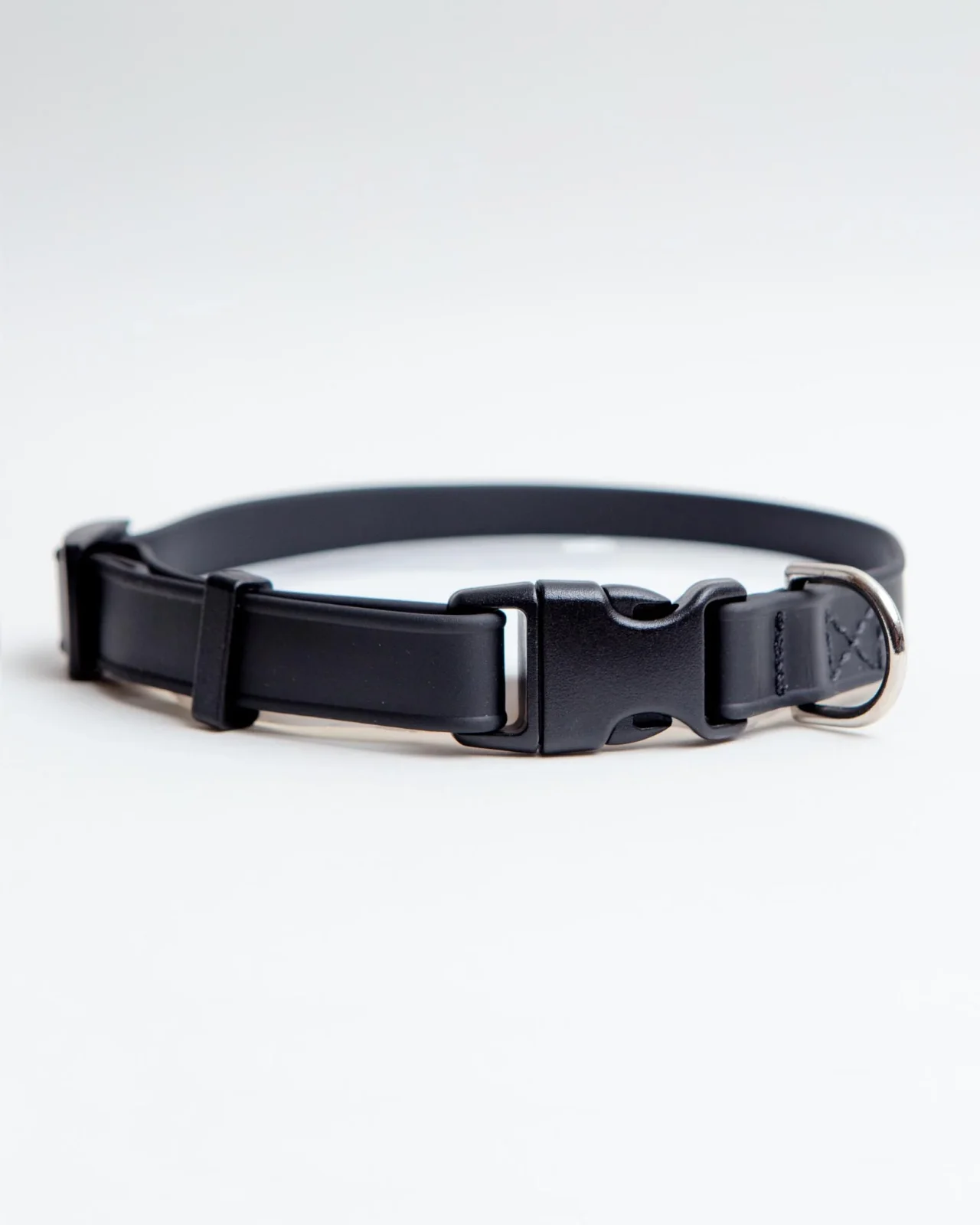 A Walk in the Park Dog Collar in Black (Made in the USA)