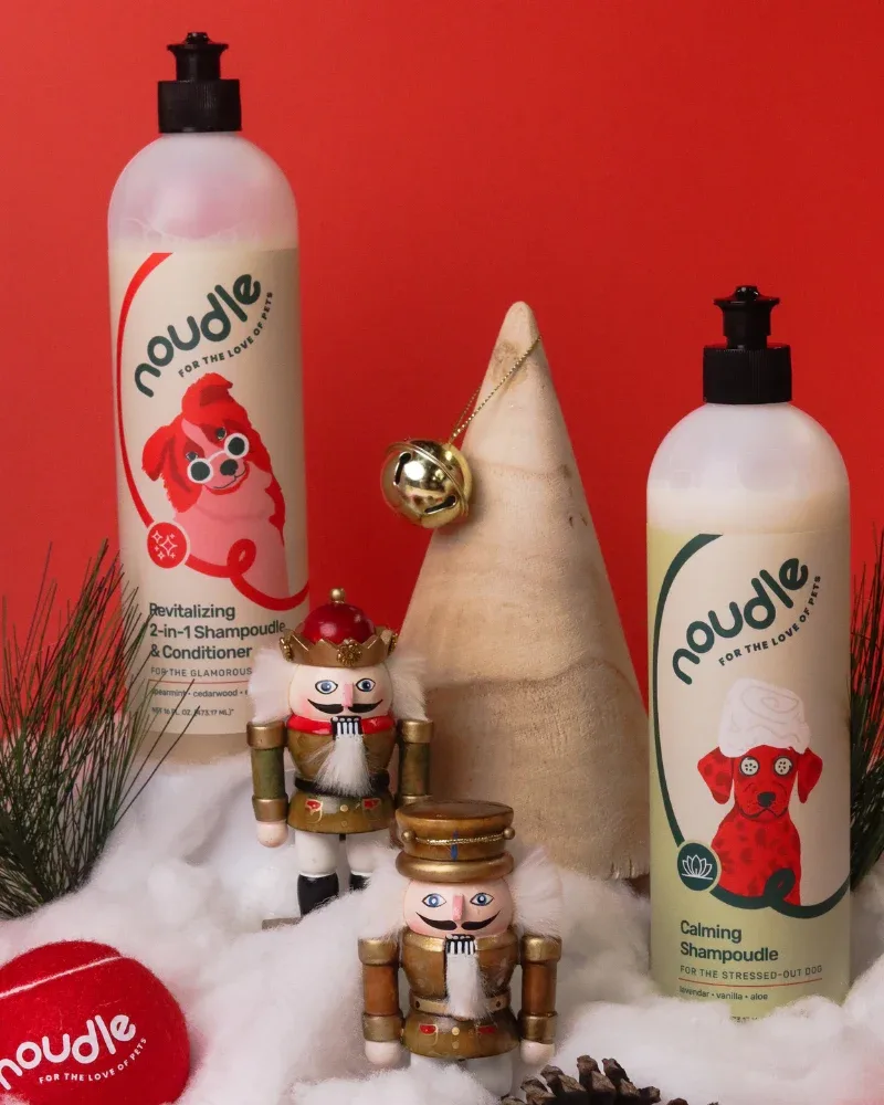 Revitalizing 2-in-1 Shampoudle & Conditioner (Cruelty Free & Vegan) - Image 2