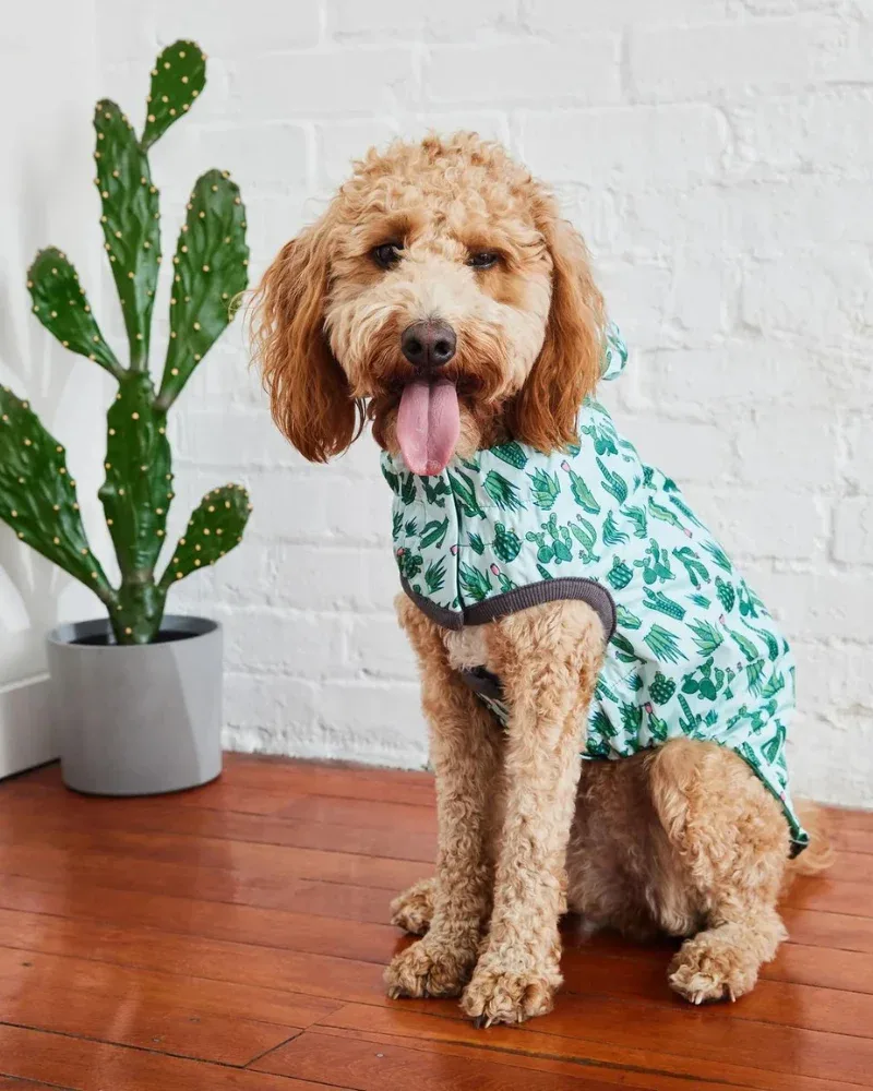 Reversible Waterproof Dog Raincoat in Green - Image 2
