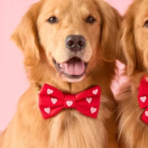 Embroidered Hearts Dog Bow Tie