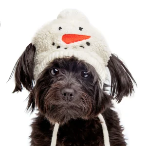 Silly Snowman Tie-On Dog Hat