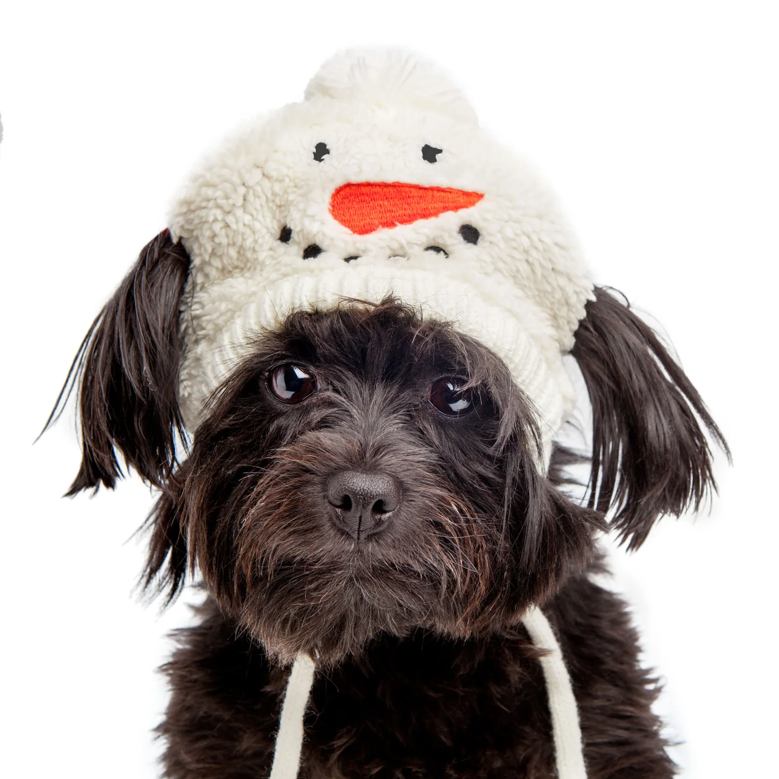 Silly Snowman Tie-On Dog Hat