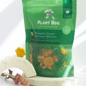 Pumpkin, Carrot & Ginger Dog Treats