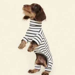 World's Your Oyster Dog Onesie