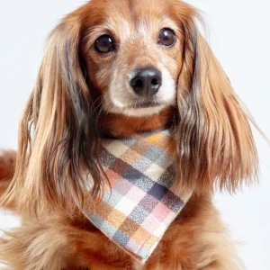 Aspen Flannel Dog Bandana (Made in the USA)