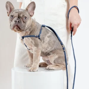 Denim Step-In Adjustable Dog Harness (Made in the USA)