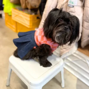 Doggie Denim Skirt (Made in the USA)