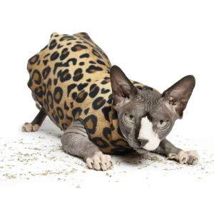 Pullover Stretch Fleece For Kittens & Cats