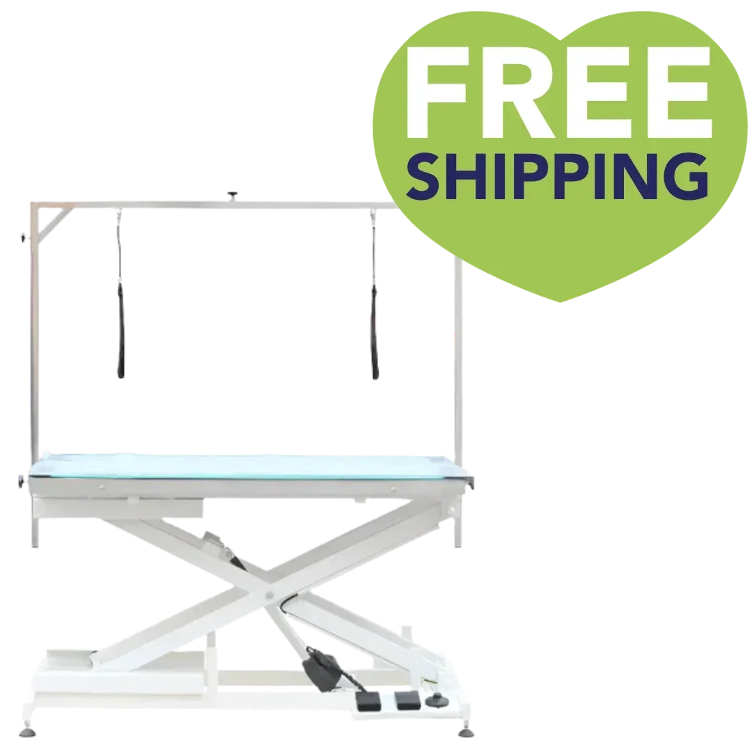 Premium LED Lighted Electric Table - 48" Top by PetStore.Direct