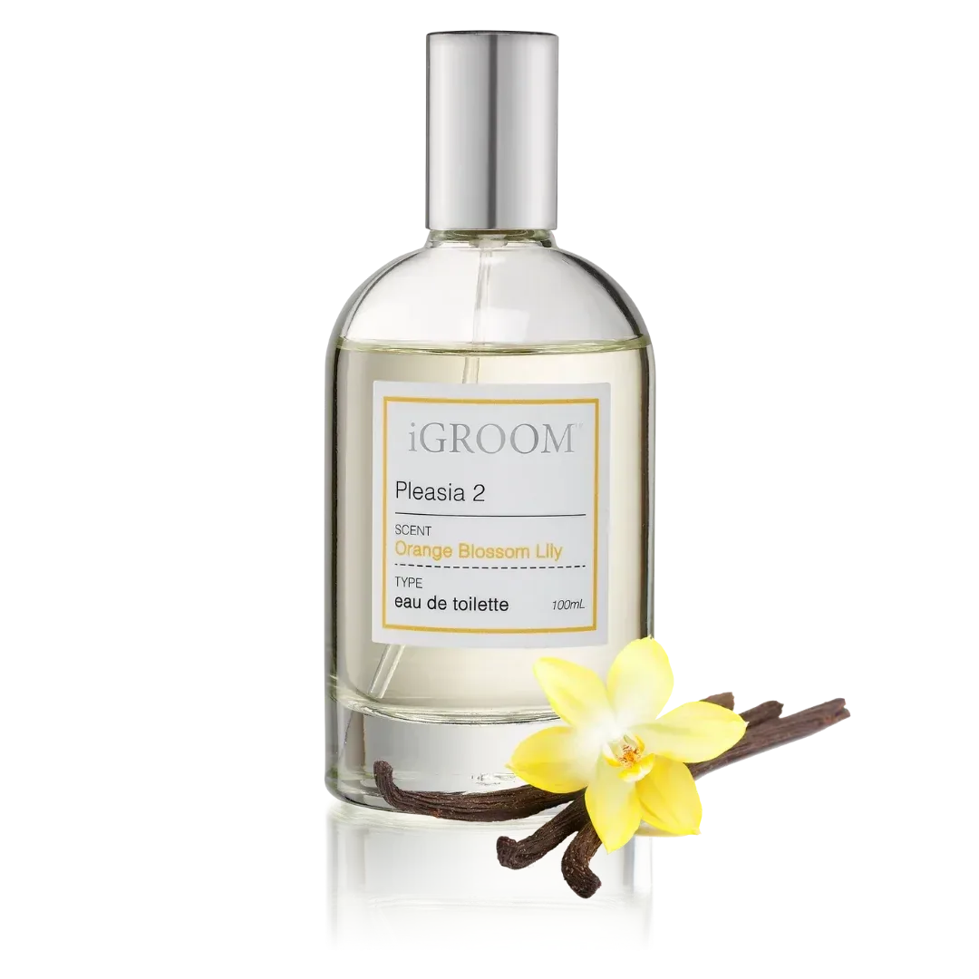 Pleasia 2 Perfume 100ml by iGroom - Image 2