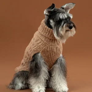 Basket Knit Alpaca Wool Dog Sweater in Golden Heather